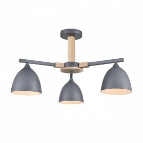 Люстра на штанге Lumion Colange 8096/3C в Коротчаево - korotchaevo.mebel24.online | фото 2