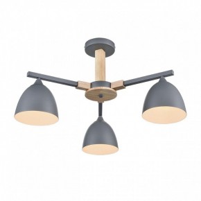 Люстра на штанге Lumion Colange 8096/3C в Коротчаево - korotchaevo.mebel24.online | фото 3