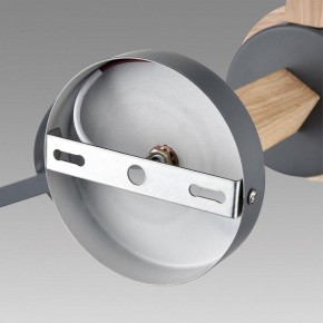 Люстра на штанге Lumion Colange 8096/3C в Коротчаево - korotchaevo.mebel24.online | фото 6