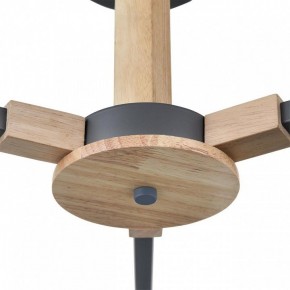 Люстра на штанге Lumion Colange 8096/3C в Коротчаево - korotchaevo.mebel24.online | фото 7
