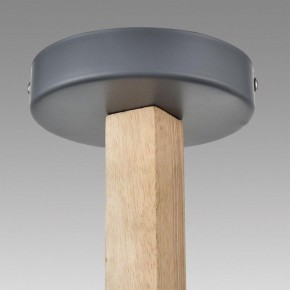 Люстра на штанге Lumion Colange 8096/3C в Коротчаево - korotchaevo.mebel24.online | фото 9