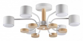Люстра на штанге Lumion Rondo 8231/6C в Коротчаево - korotchaevo.mebel24.online | фото