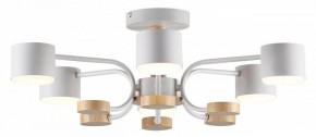Люстра на штанге Lumion Rondo 8231/6C в Коротчаево - korotchaevo.mebel24.online | фото 2