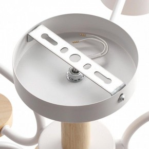 Люстра на штанге Lumion Rondo 8231/6C в Коротчаево - korotchaevo.mebel24.online | фото 6