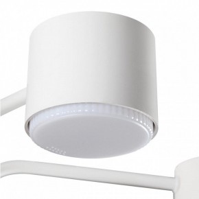 Люстра на штанге Lumion Rondo 8231/6C в Коротчаево - korotchaevo.mebel24.online | фото 7