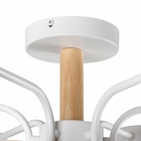 Люстра на штанге Lumion Rondo 8231/6C в Коротчаево - korotchaevo.mebel24.online | фото 8
