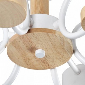 Люстра на штанге Lumion Rondo 8231/6C в Коротчаево - korotchaevo.mebel24.online | фото 9
