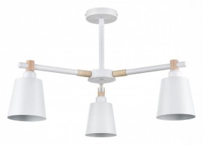 Люстра на штанге Lumion Rosalina 8097/3C в Коротчаево - korotchaevo.mebel24.online | фото