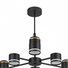 Люстра на штанге Lumion Virsava 8234/6C в Коротчаево - korotchaevo.mebel24.online | фото 5
