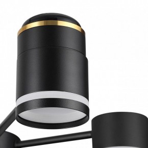 Люстра на штанге Lumion Virsava 8234/6C в Коротчаево - korotchaevo.mebel24.online | фото 8