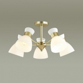 Люстра на штанге Lumion Wilma 4535/5C в Коротчаево - korotchaevo.mebel24.online | фото 3