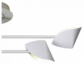 Люстра на штанге Mantra Capuccina 7574 в Коротчаево - korotchaevo.mebel24.online | фото 3