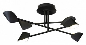 Люстра на штанге Mantra Capuccina 7581 в Коротчаево - korotchaevo.mebel24.online | фото 1