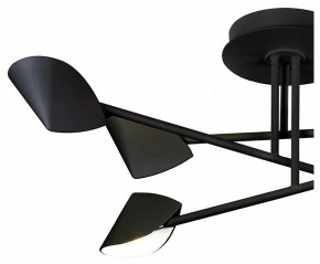 Люстра на штанге Mantra Capuccina 7581 в Коротчаево - korotchaevo.mebel24.online | фото 2