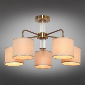 Люстра на штанге Omnilux Barumini OML-56907-05 в Коротчаево - korotchaevo.mebel24.online | фото 2