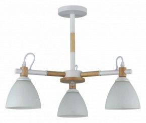 Люстра на штанге Rivoli Louise Б0060982 в Коротчаево - korotchaevo.mebel24.online | фото