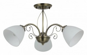 Люстра на штанге Rivoli Sue Б0060985 в Коротчаево - korotchaevo.mebel24.online | фото