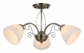 Люстра на штанге Rivoli Sue Б0060985 в Коротчаево - korotchaevo.mebel24.online | фото 2