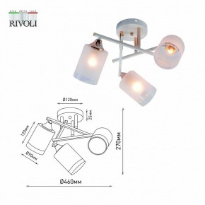 Люстра на штанге Rivoli Tammy Б0059258 в Коротчаево - korotchaevo.mebel24.online | фото