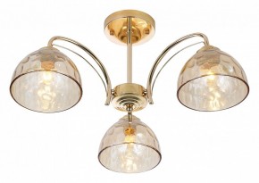 Люстра на штанге Rivoli Terri Б0060988 в Коротчаево - korotchaevo.mebel24.online | фото