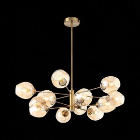 Люстра на штанге ST-Luce Fovia SL1500.203.12 в Коротчаево - korotchaevo.mebel24.online | фото 4