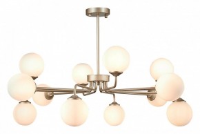 Люстра на штанге ST-Luce Redjino SLE106203-12 в Коротчаево - korotchaevo.mebel24.online | фото 2