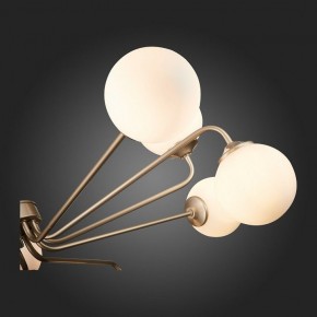 Люстра на штанге ST-Luce Redjino SLE106203-12 в Коротчаево - korotchaevo.mebel24.online | фото 7