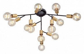 Люстра на штанге Vitaluce 4959 V4959-1/12PL в Коротчаево - korotchaevo.mebel24.online | фото