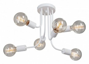 Люстра на штанге Vitaluce 4960 V4960-0/6PL в Коротчаево - korotchaevo.mebel24.online | фото