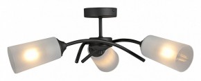 Люстра на штанге Vitaluce V2850 V2850-1/3PL в Коротчаево - korotchaevo.mebel24.online | фото 3
