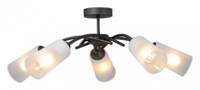Люстра на штанге Vitaluce V2850 V2850-1/5PL в Коротчаево - korotchaevo.mebel24.online | фото