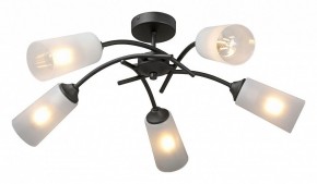 Люстра на штанге Vitaluce V2850 V2850-1/5PL в Коротчаево - korotchaevo.mebel24.online | фото 2