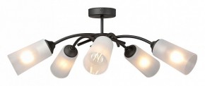 Люстра на штанге Vitaluce V2850 V2850-1/5PL в Коротчаево - korotchaevo.mebel24.online | фото 3