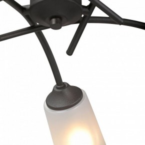 Люстра на штанге Vitaluce V2850 V2850-1/5PL в Коротчаево - korotchaevo.mebel24.online | фото 6