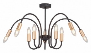 Люстра на штанге Vitaluce V3026 V3026-1/10PL в Коротчаево - korotchaevo.mebel24.online | фото 2