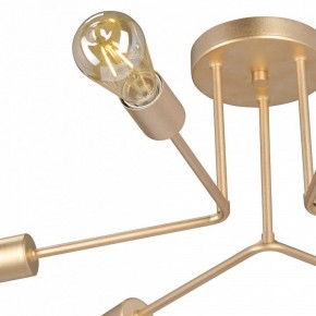 Люстра на штанге Vitaluce V3071 V3071-8/6PL в Коротчаево - korotchaevo.mebel24.online | фото 6