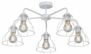 Люстра на штанге Vitaluce V3102 V3102-0/5PL в Коротчаево - korotchaevo.mebel24.online | фото