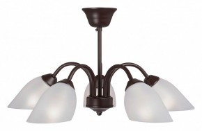 Люстра на штанге Vitaluce V3335 V3335-7/5PL в Коротчаево - korotchaevo.mebel24.online | фото