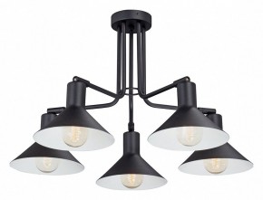 Люстра на штанге Vitaluce V4809 V4809-1/5PL в Коротчаево - korotchaevo.mebel24.online | фото