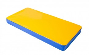 Мат гимнастический 1х0,5х0,08м цв. синий-желтый в Коротчаево - korotchaevo.mebel24.online | фото
