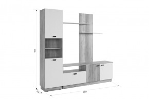 МОДИ Гостиная (модульная) белое дерево в Коротчаево - korotchaevo.mebel24.online | фото 2