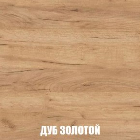 МСП-1 Шкаф 2-х створчатый (Дуб Золотой/Камень темный) в Коротчаево - korotchaevo.mebel24.online | фото 4