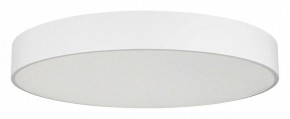 Накладной светильник Arlight TOR PILL 022132(4) в Коротчаево - korotchaevo.mebel24.online | фото