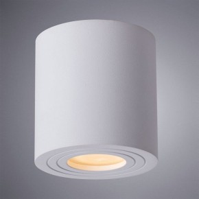 Накладной светильник Arte Lamp Galopin A1460PL-1WH в Коротчаево - korotchaevo.mebel24.online | фото 2