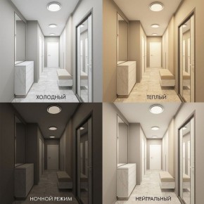 Накладной светильник Denkirs Cany DK6516-WH в Коротчаево - korotchaevo.mebel24.online | фото 4
