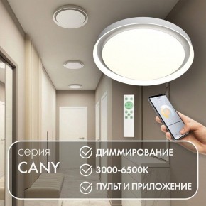 Накладной светильник Denkirs Cany DK6516-WH в Коротчаево - korotchaevo.mebel24.online | фото 5