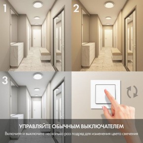 Накладной светильник Denkirs Cany DK6516-WH в Коротчаево - korotchaevo.mebel24.online | фото 6