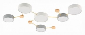 Накладной светильник EVOLUCE Dossena SLE600102-06 в Коротчаево - korotchaevo.mebel24.online | фото 2