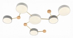Накладной светильник EVOLUCE Dossena SLE600102-06 в Коротчаево - korotchaevo.mebel24.online | фото 3