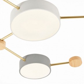 Накладной светильник EVOLUCE Dossena SLE600102-06 в Коротчаево - korotchaevo.mebel24.online | фото 4